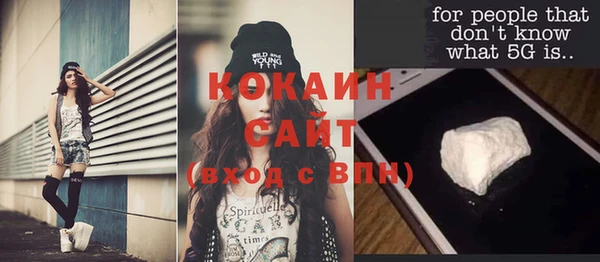дживик Тайга