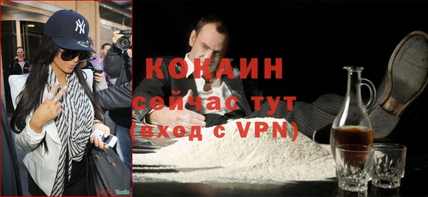 шишки Горнозаводск