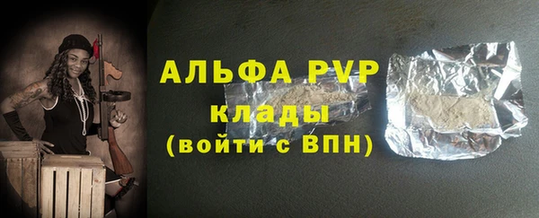 дживик Тайга
