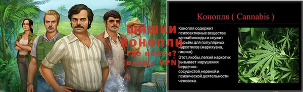 шишки Горнозаводск